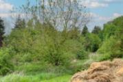 Grundstücksansicht (2)