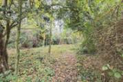 Gartenfläche