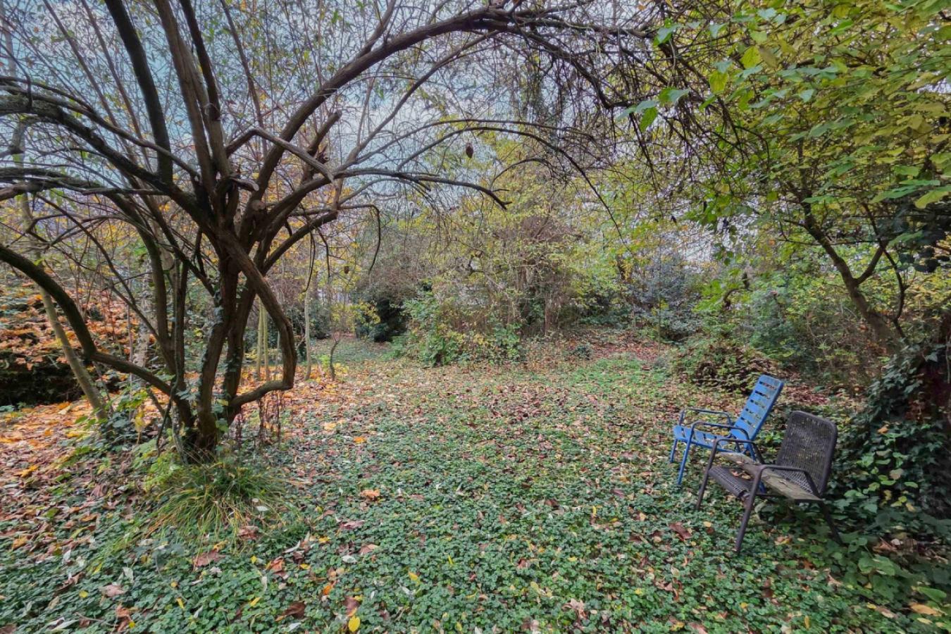 Gartenfläche