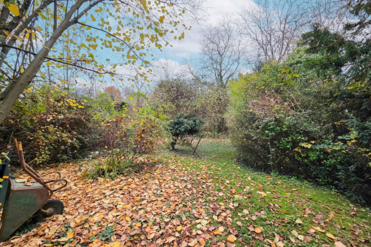 Gartenfläche