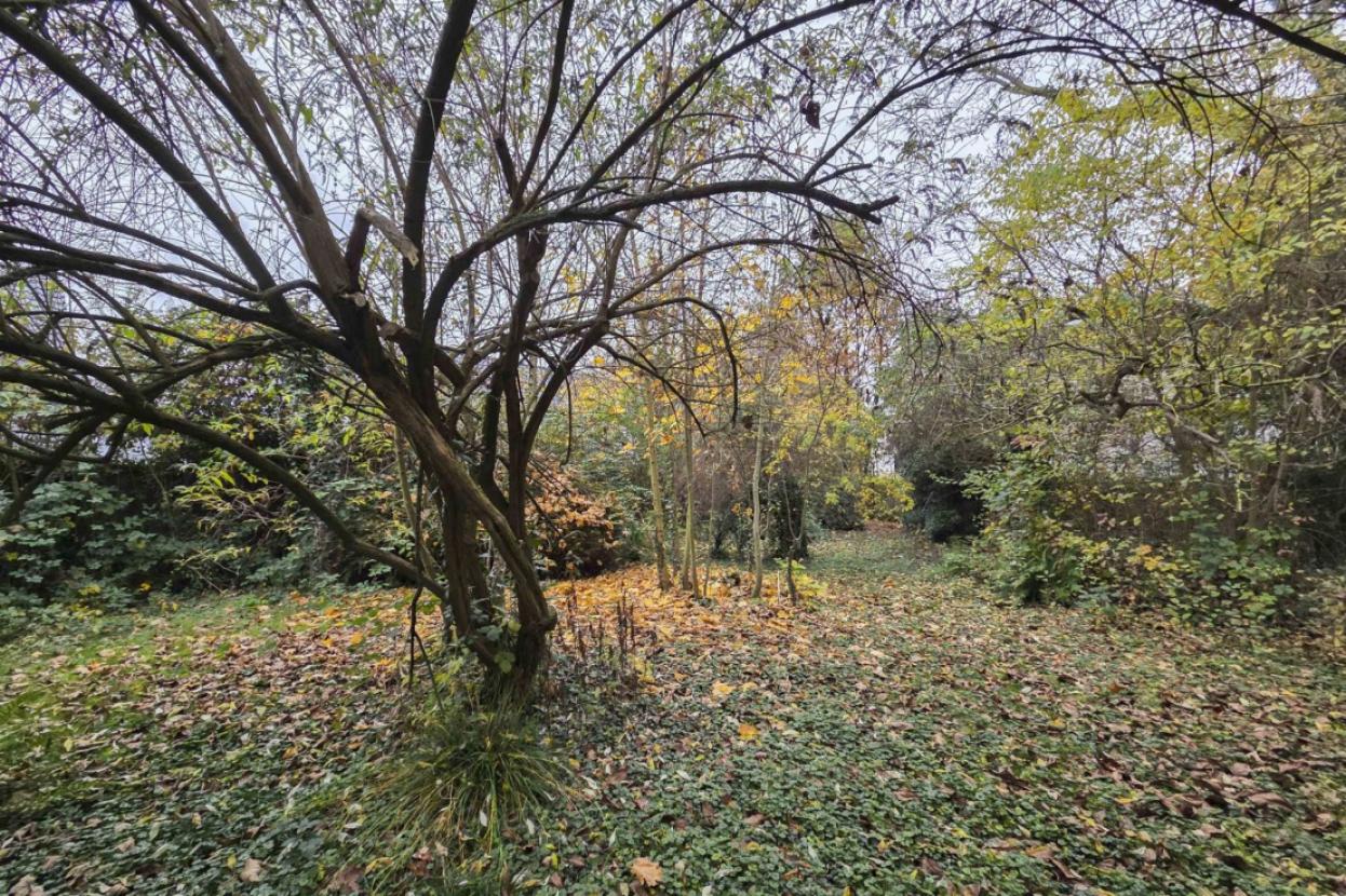 Gartenfläche