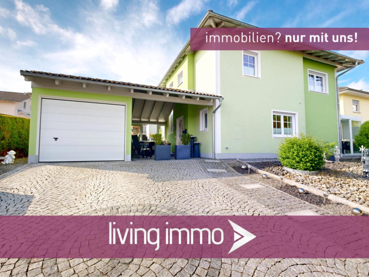 13Vorlage Startbild Normal Logo und Fenster living immo Farbe