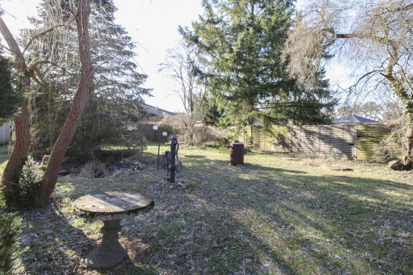 Garten (1)