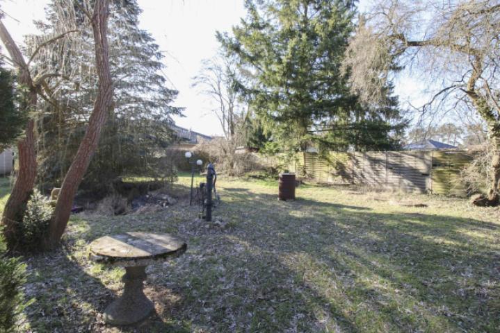 Garten (1)