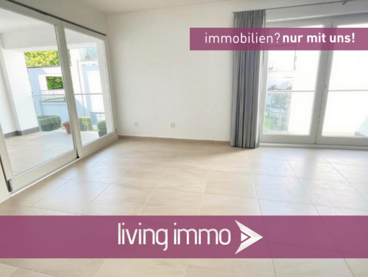 Vorlage Startbild Normal Logo und Fenster living immo Farbe (1)