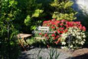 Garten H.5