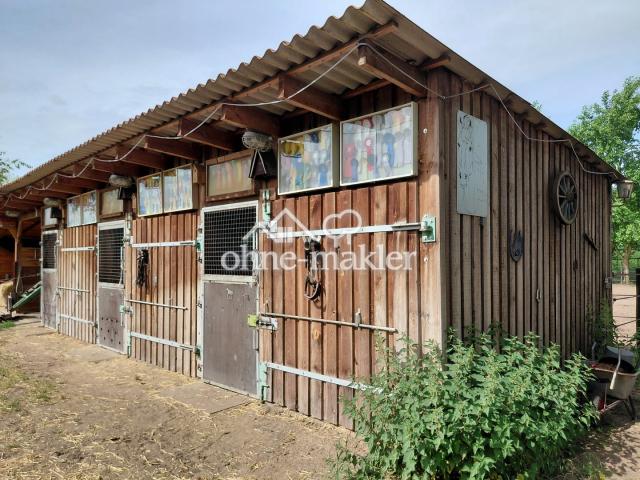 Pferdestall Boxen