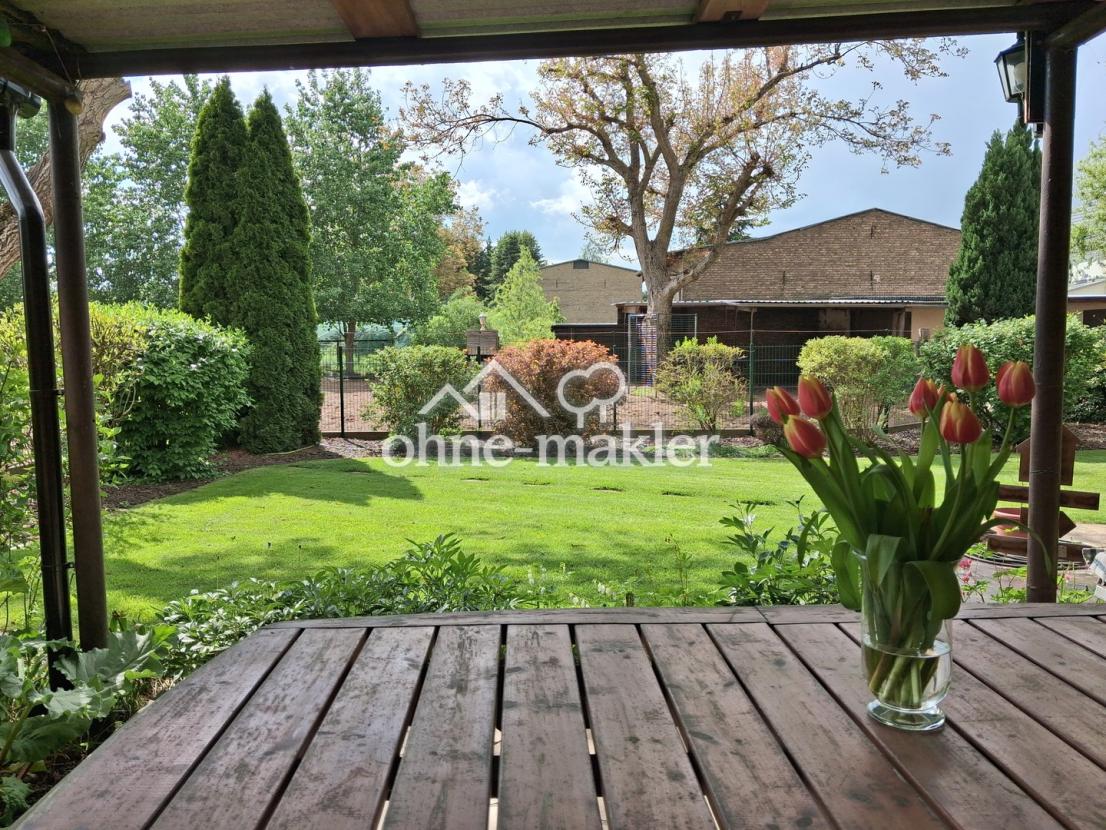 Ausblick v. Terrasse geradeaus