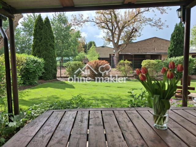 Ausblick v. Terrasse geradeaus