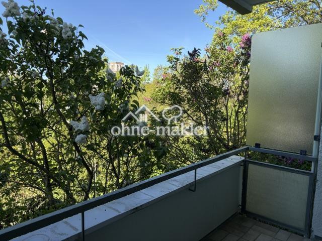 Blick vom Balkon 2