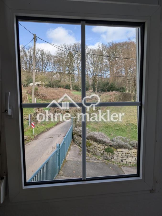 Fenster Küche