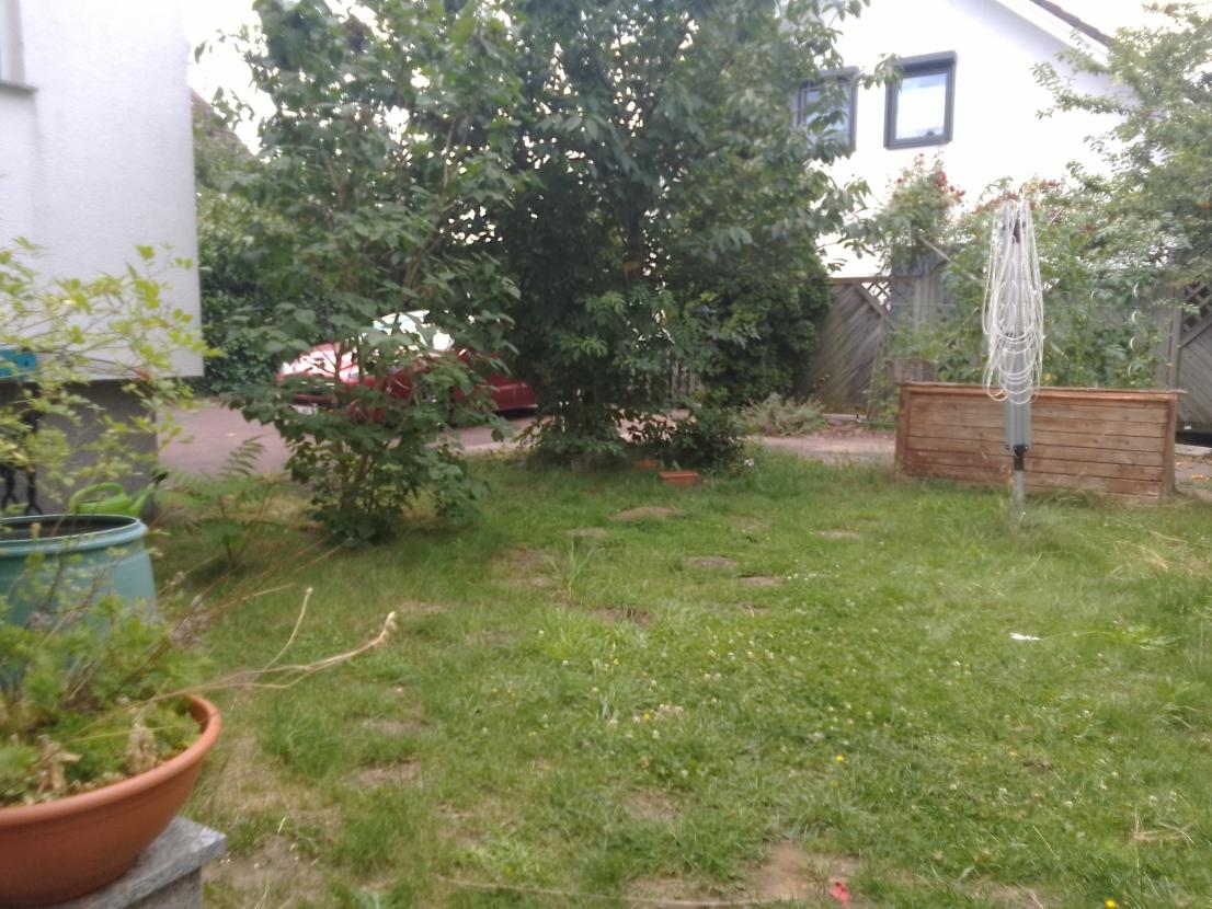 Garten hinten 1