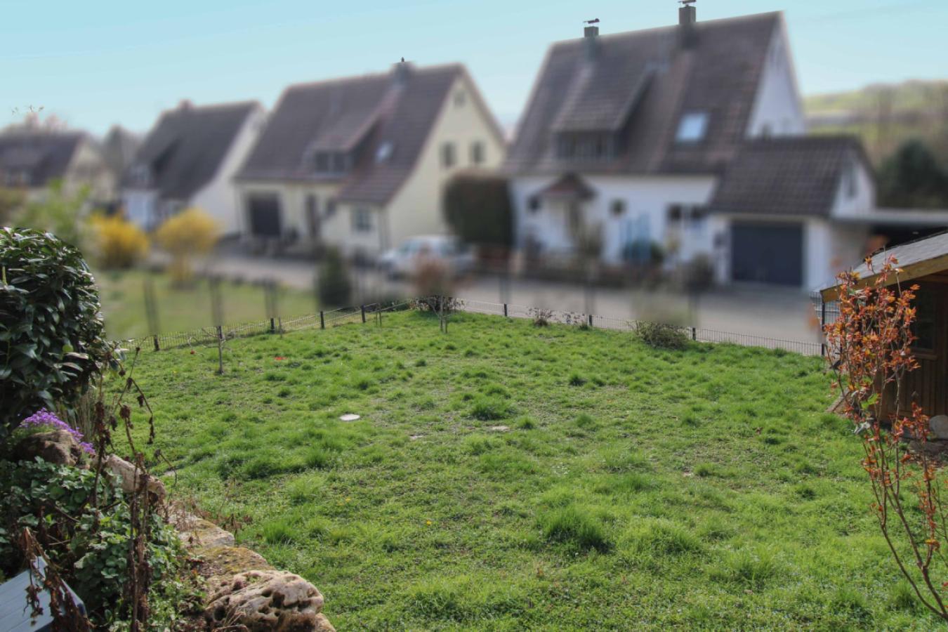 Garten (4)