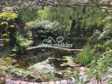Schwimmteich