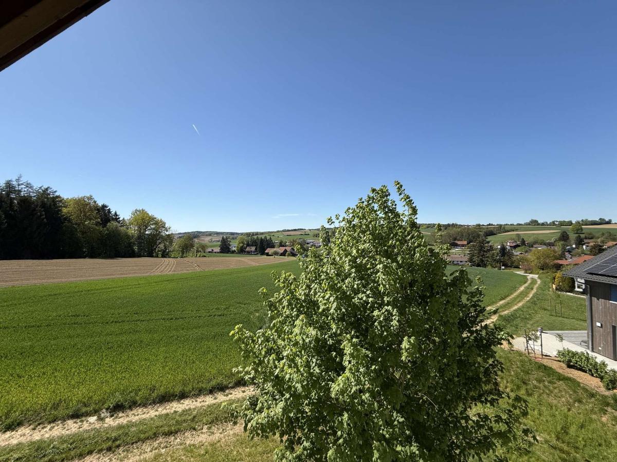 DG Ausblick