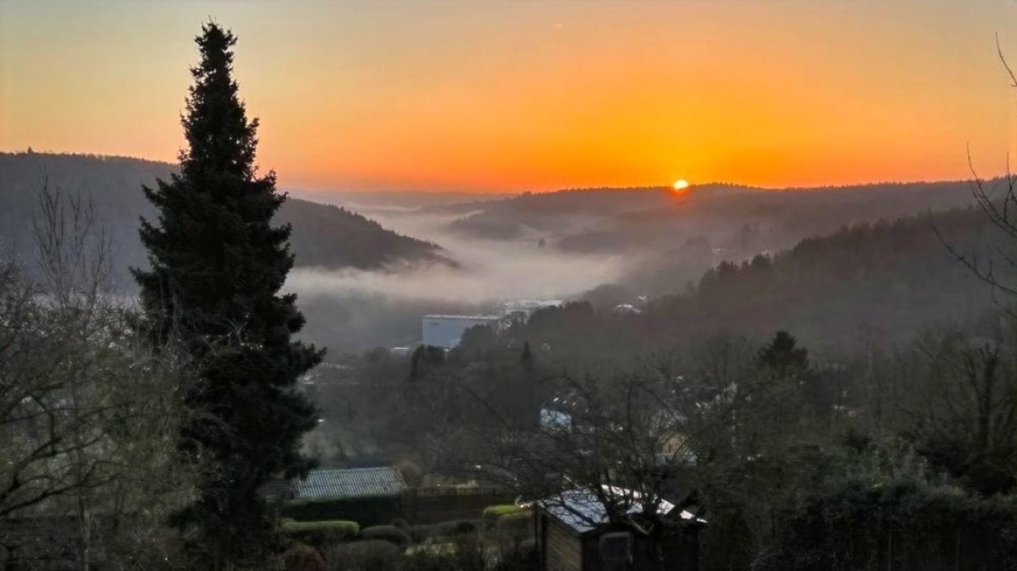 Ausblick
