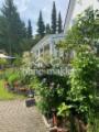 Wintergarten I. Stadthaus