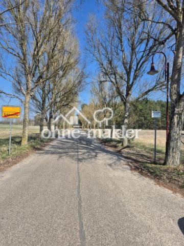 Planweg (angrenzend)