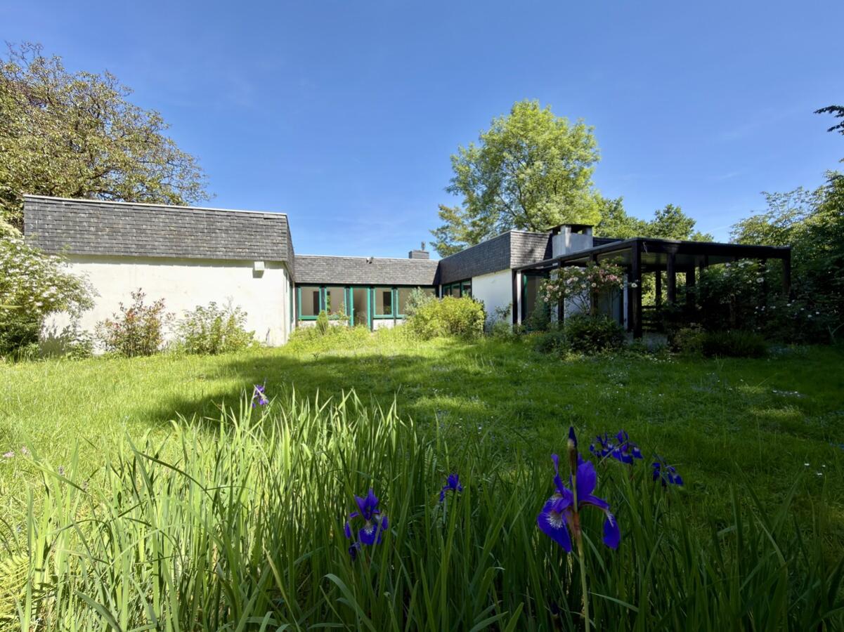 Blick Gartenseite