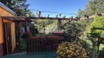 Blick von der Terrasse