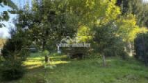 Obstgarten