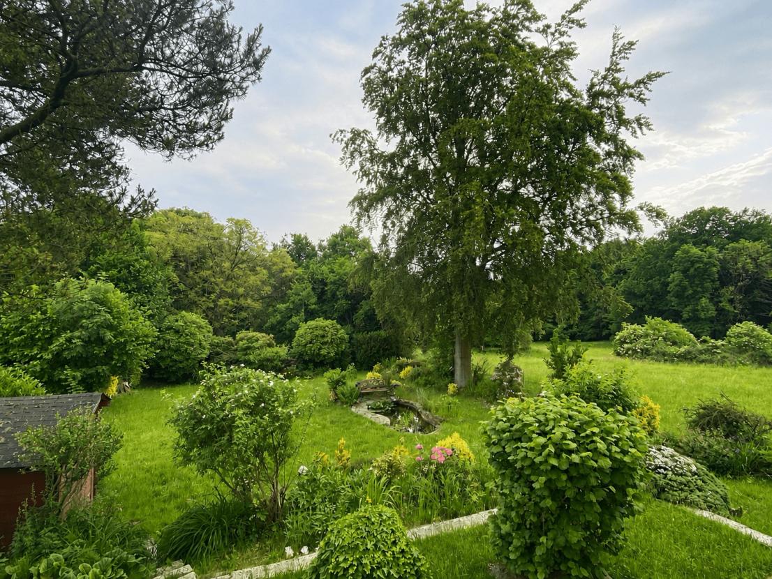 Weitläufiger Garten 