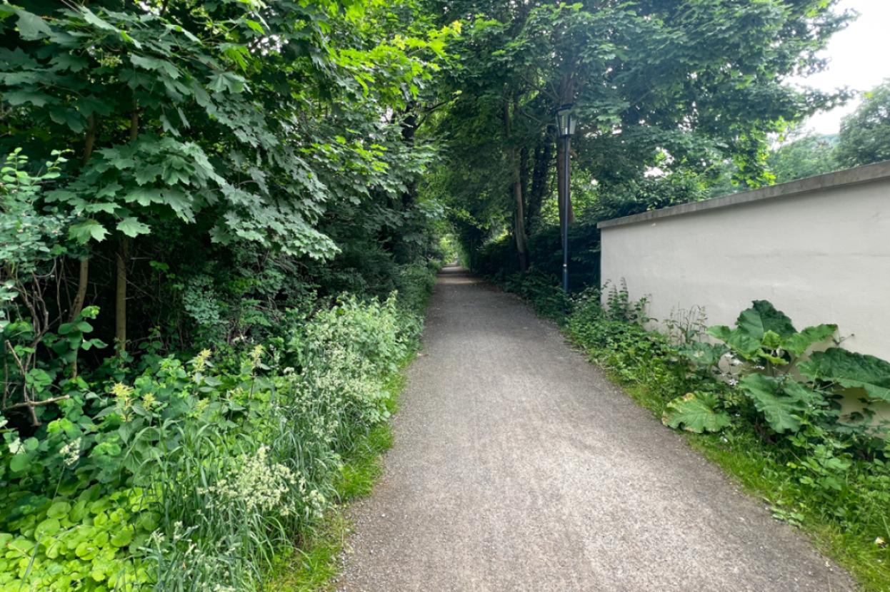 Fußweg an der Gera
