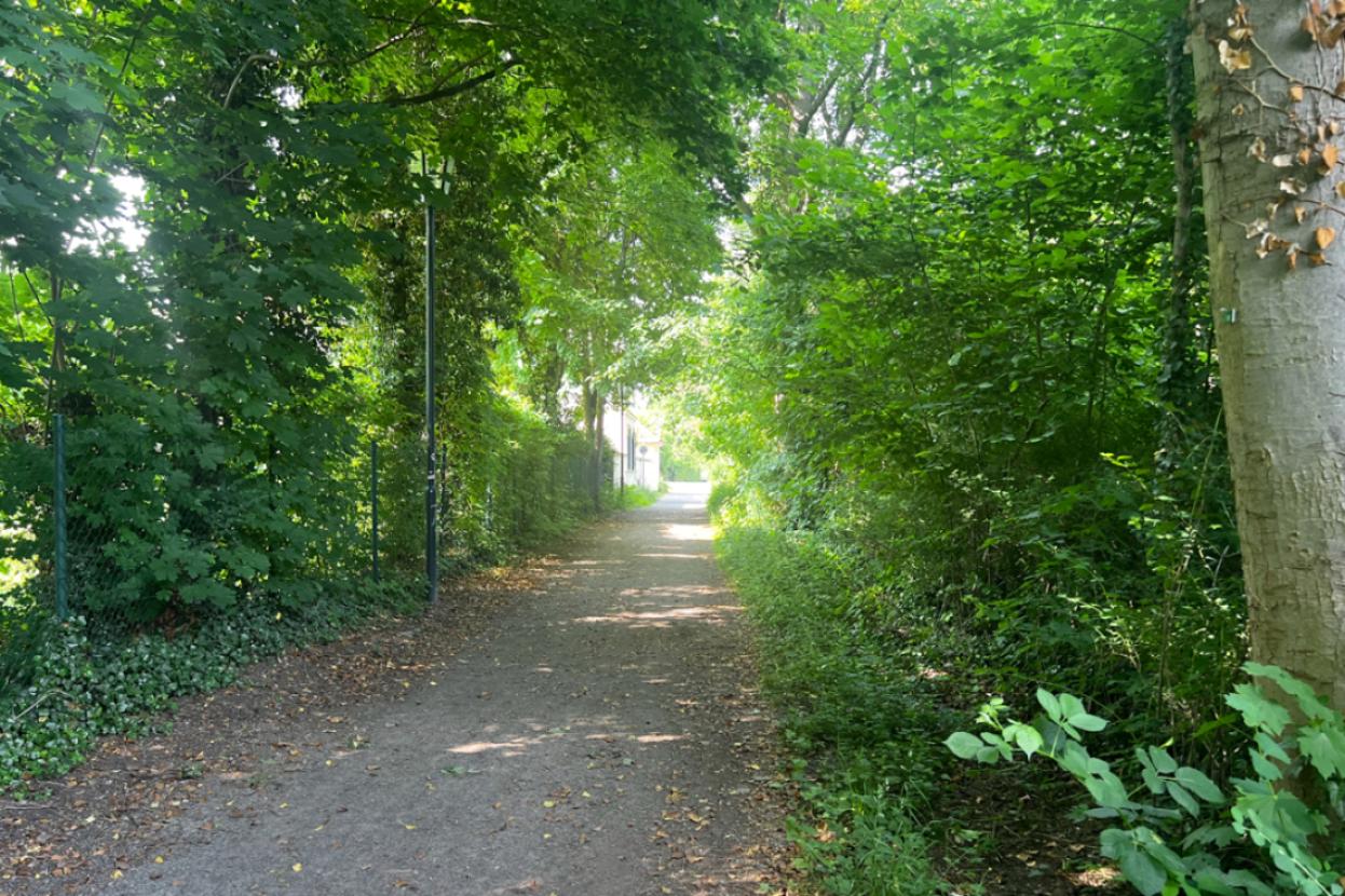 Fußweg zum Haus