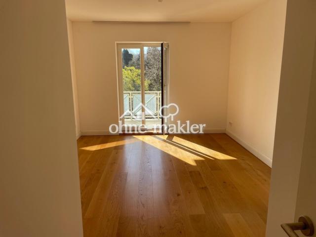 ZIMMER 3