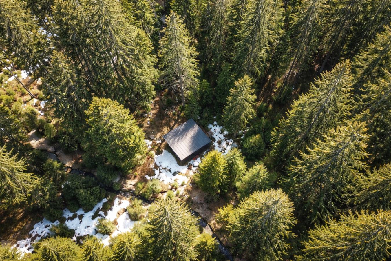 Luftbild Waldlichtung