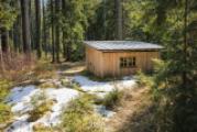 eigenes Waldstück mit Hütte
