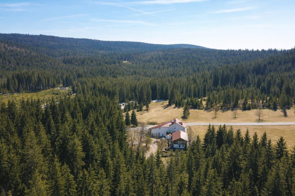 Luftbild