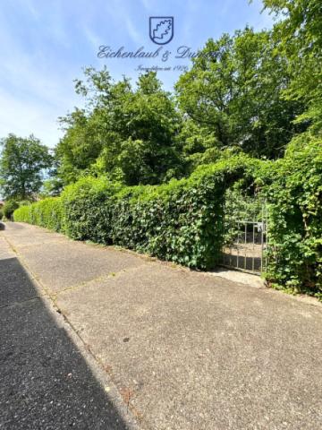 Tor zum Wald