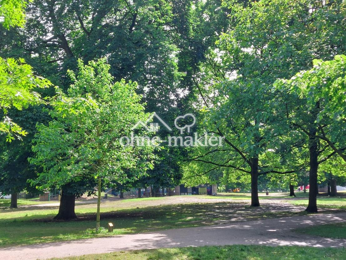 Blick in den Park