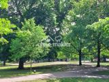 Blick in den Park