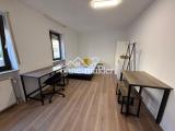 Wohn-/Schlafzimmer