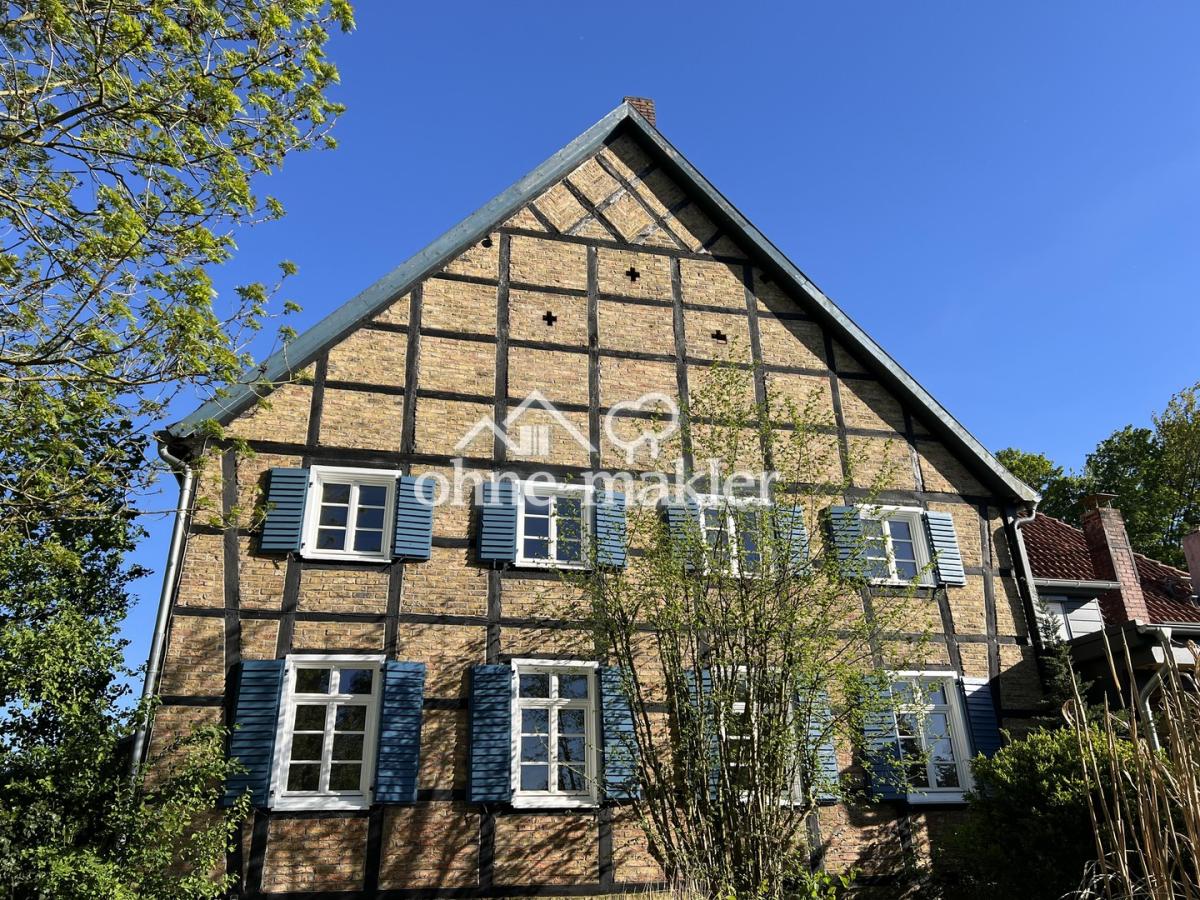 Blick aus dem Garten
