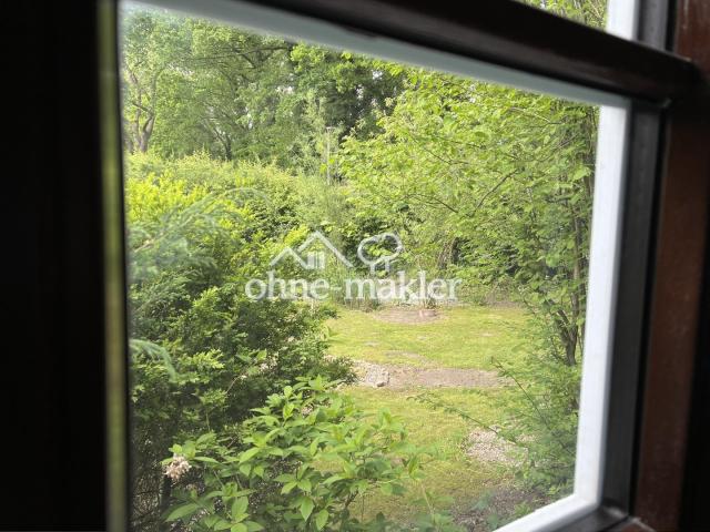 Blick aus dem Wohnzimmer 