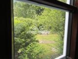 Blick aus dem Wohnzimmer 
