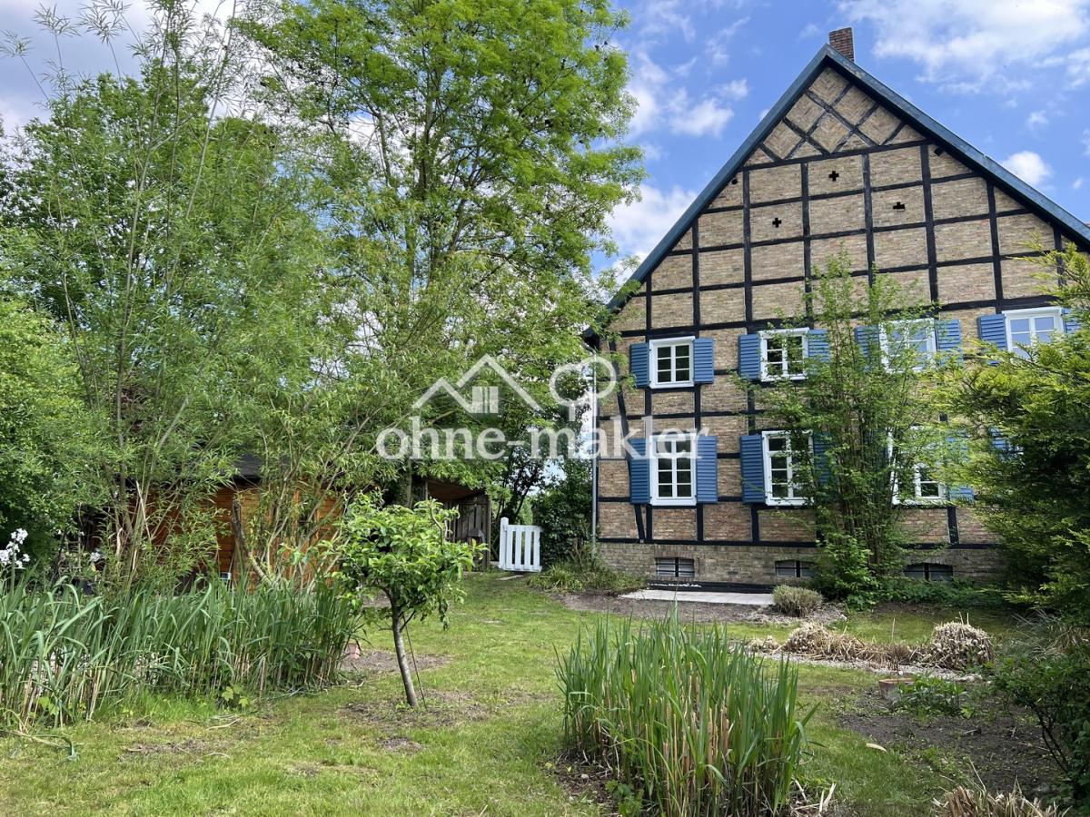 Blick aus ihrem neuen Garten 