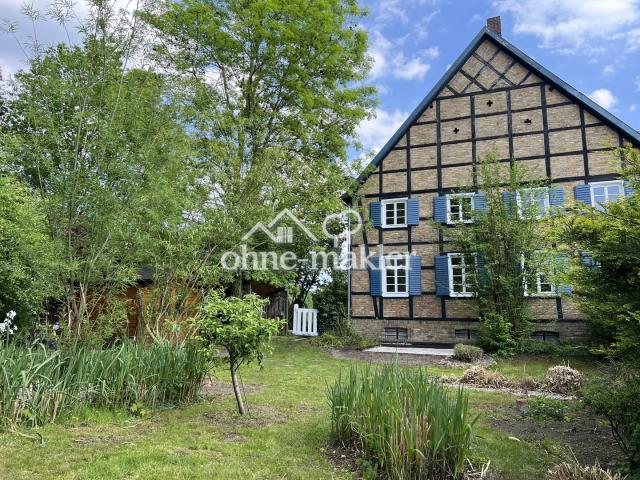Blick aus ihrem neuen Garten 
