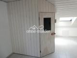 Sauna (Dach)