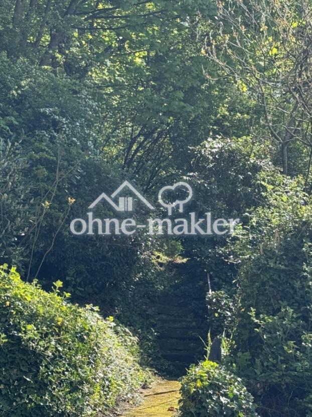 Blick in den Garten