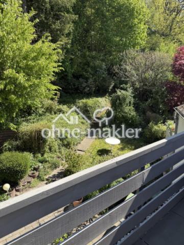 Blick in den Garten 