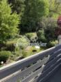 Blick in den Garten 