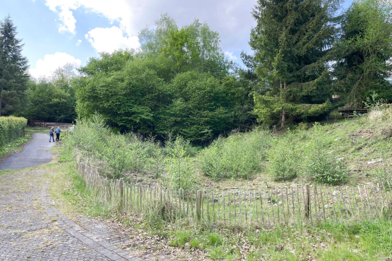 Natur pur
