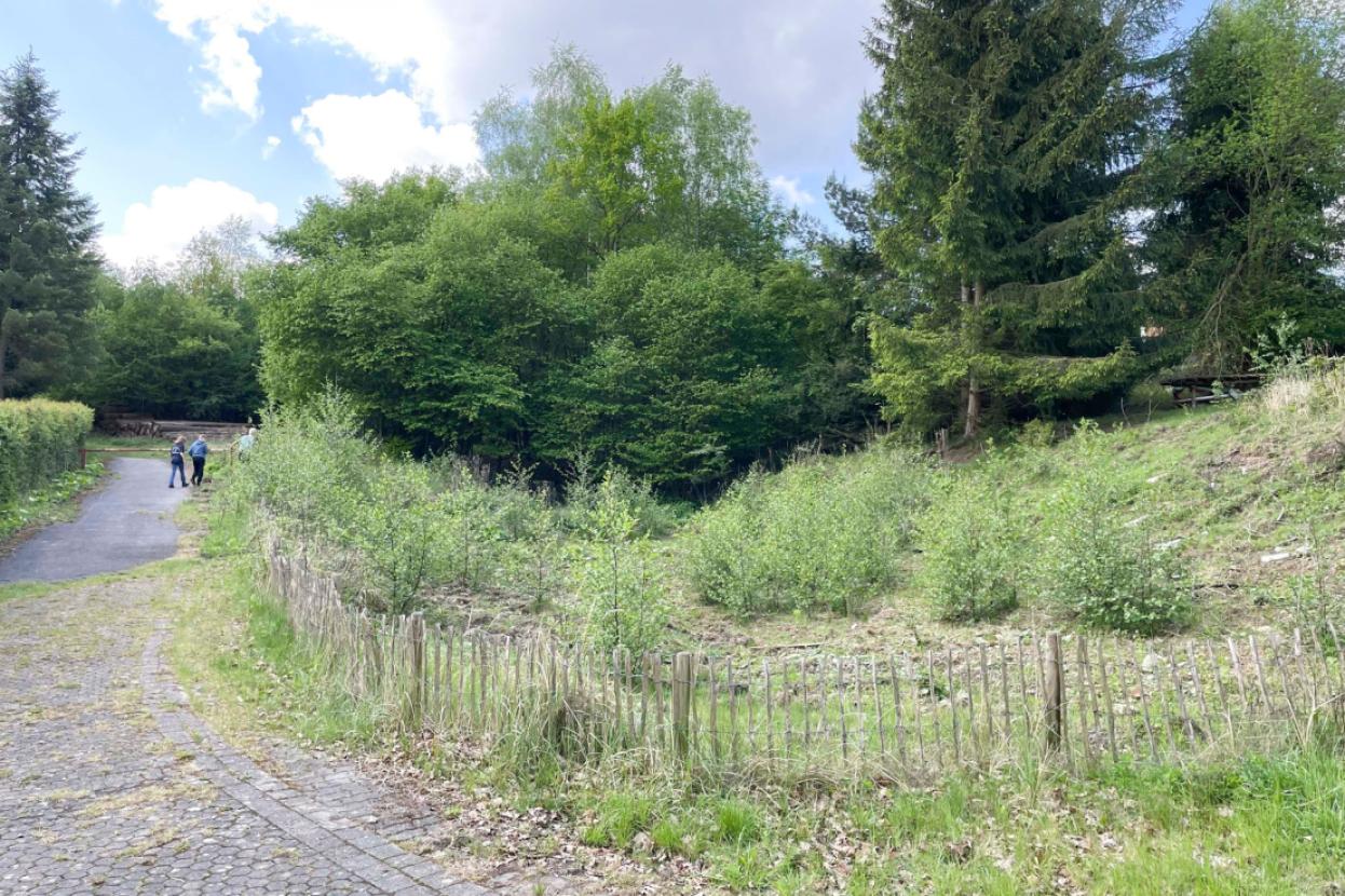 Natur pur
