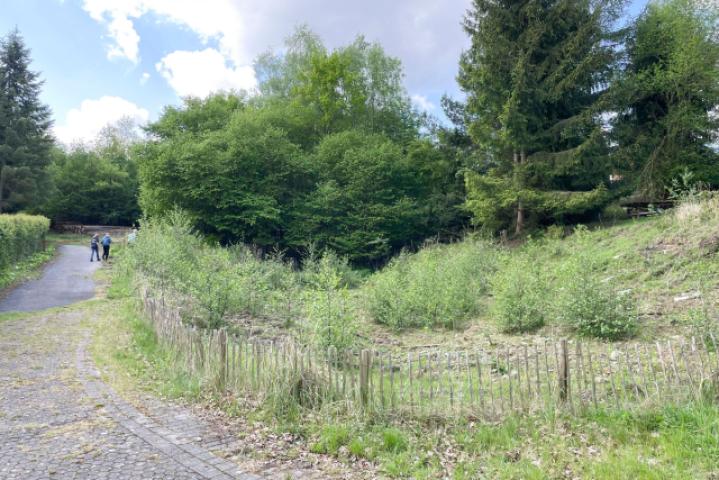 Natur pur