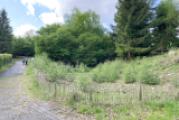 Natur pur