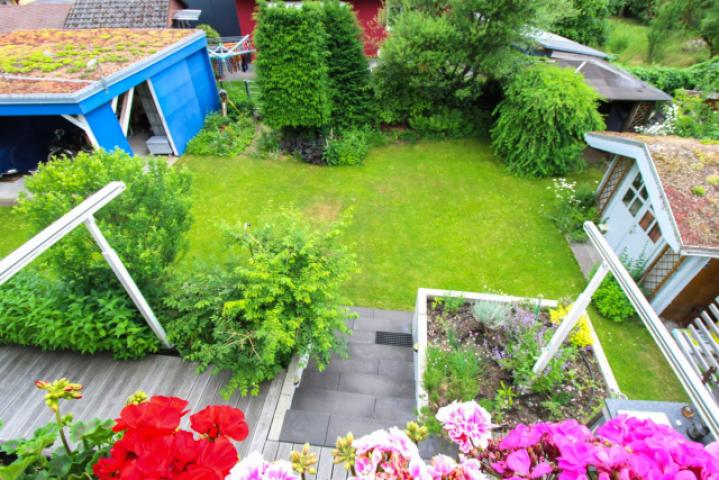 Garten mit Carpot